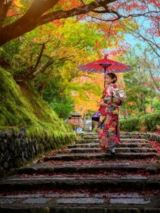 10 Countries With the Oldest Populations in the World