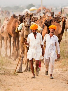 Top 10 Safest Cities In India 2025 With Low Crime & Quality Living