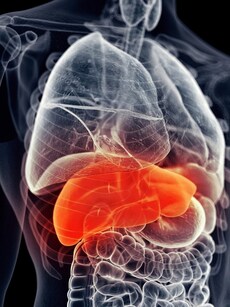 10 Warning Signs You Shouldn’t Ignore If You Drink Regularly