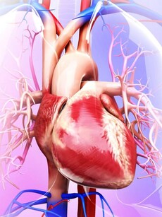 10 Diet and Lifestyle Habits to Prevent Heart Diseases