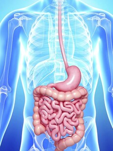 Trouble Swallowing? 10 things To Know About Achalasia Cardia