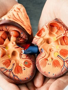 10 everyday healthy habits that will protect your kidneys