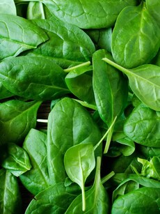 10 Health Benefits of Spinach: Why it is a must-have in daily diet