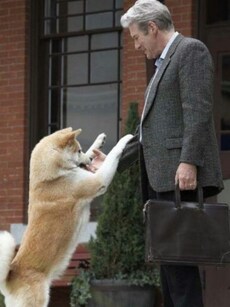 Hollywood Movies Based On Real Life Incident