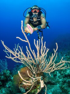 10 Best Scuba Diving Spots in India You Must Explore
