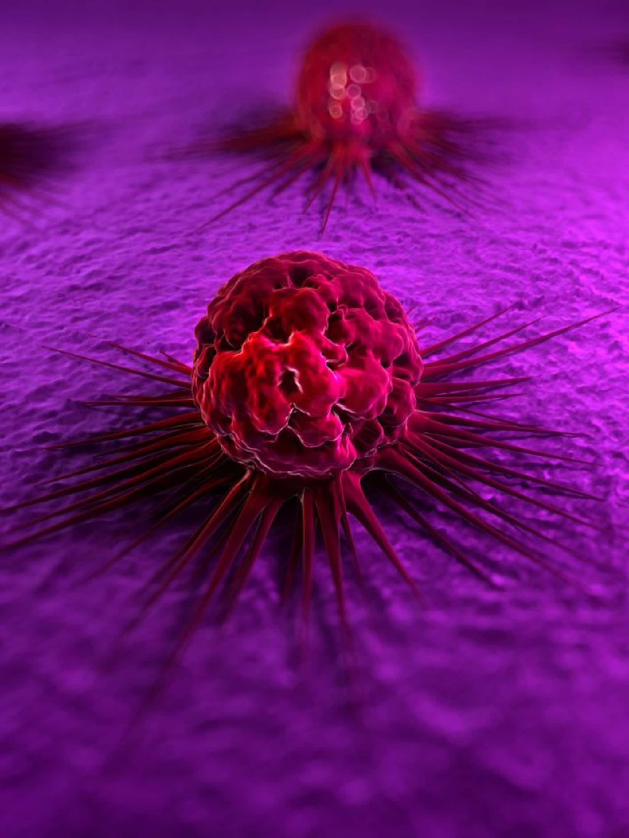 ক্যানসারের কোন-কোন প্রাথমিক উপসর্গ আমরা এড়িয়ে যাই?