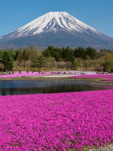 9 Jaw-Dropping Places in Japan to See Mount Fuji Like Never Before