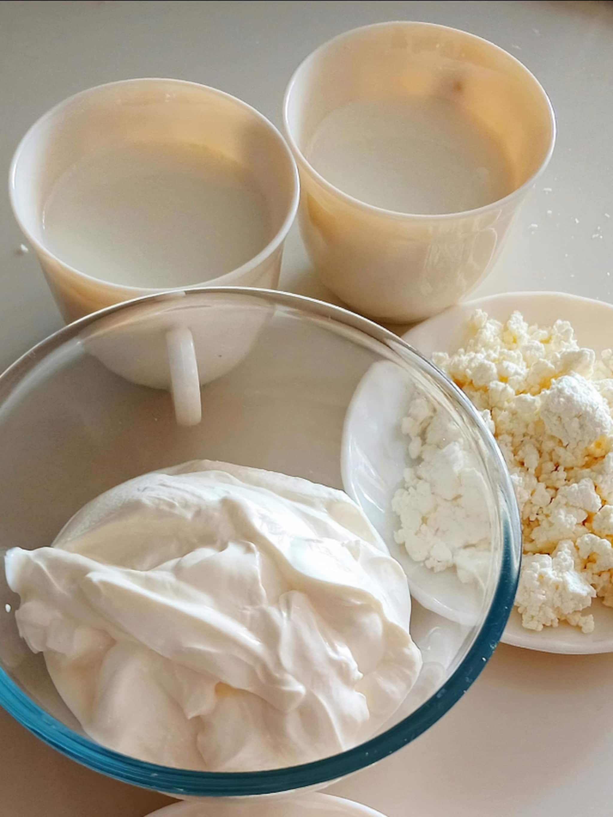 Navratri Fasting : नवरात्रीमध्ये उपवास केला तरी, दूध आणि दही खावे का?