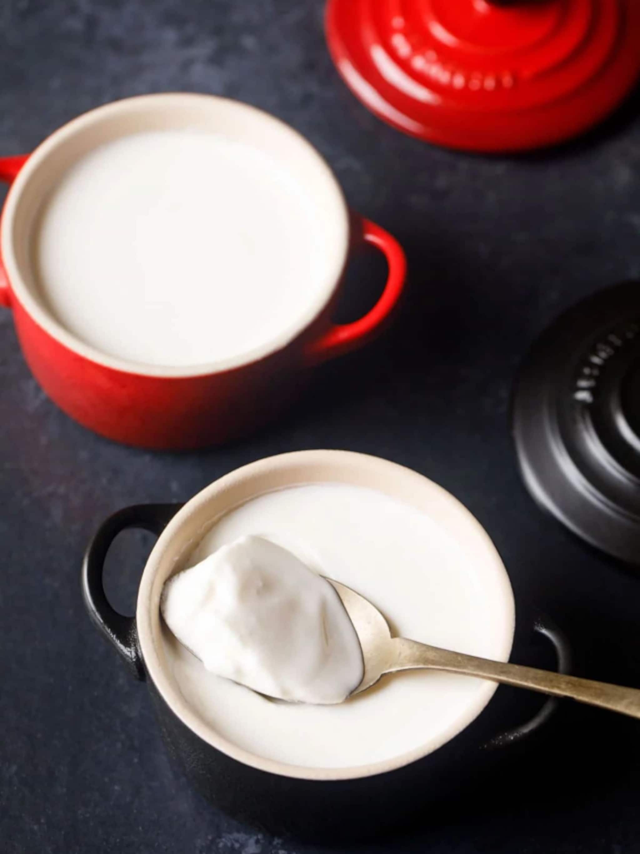 दही लावताच होतंय आंबट? वापरा ‘ही’ पद्धत, मिनिटांत दूर होईल आंबटपणा