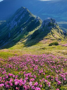 10 Clean-Air Getaways Near Delhi to Escape Diwali Smog