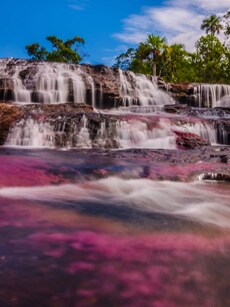 10 Incredible National Parks in Colombia for Nature Lovers