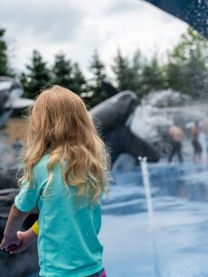 List of the Top 10 Largest Zoos in the World