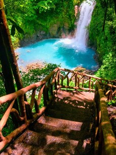 Top 10 Destinations to See Earth’s Rarest Animals