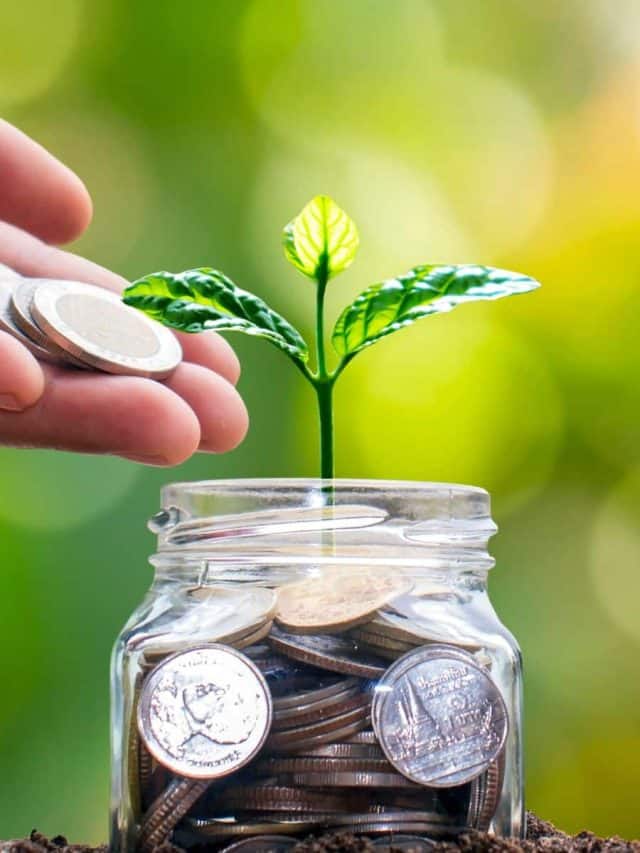 Diwali stock picks 2025: Motilal Oswal Selects 10 Stocks To Buy