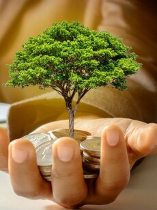 Top 10 Diwali Picks 2025: HDFC Bank, Ashok Leyland and More; Check Share Price Target