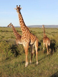 10 Countries That Feel the Deepest Connection to Nature