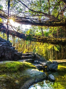 13 Magnificent Places To Visit In India For An Unforgettable Trip