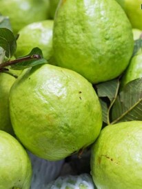 ‘গাট হিলিং সুপারফুড’ হল পেয়ারা!