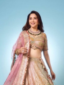 माधुरी दीक्षितचे सगळ्यात जास्त कमाई केलेले ते 8  चित्रपट कोणते ?