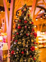 10 Most Photogenic Christmas Spots in India 2025