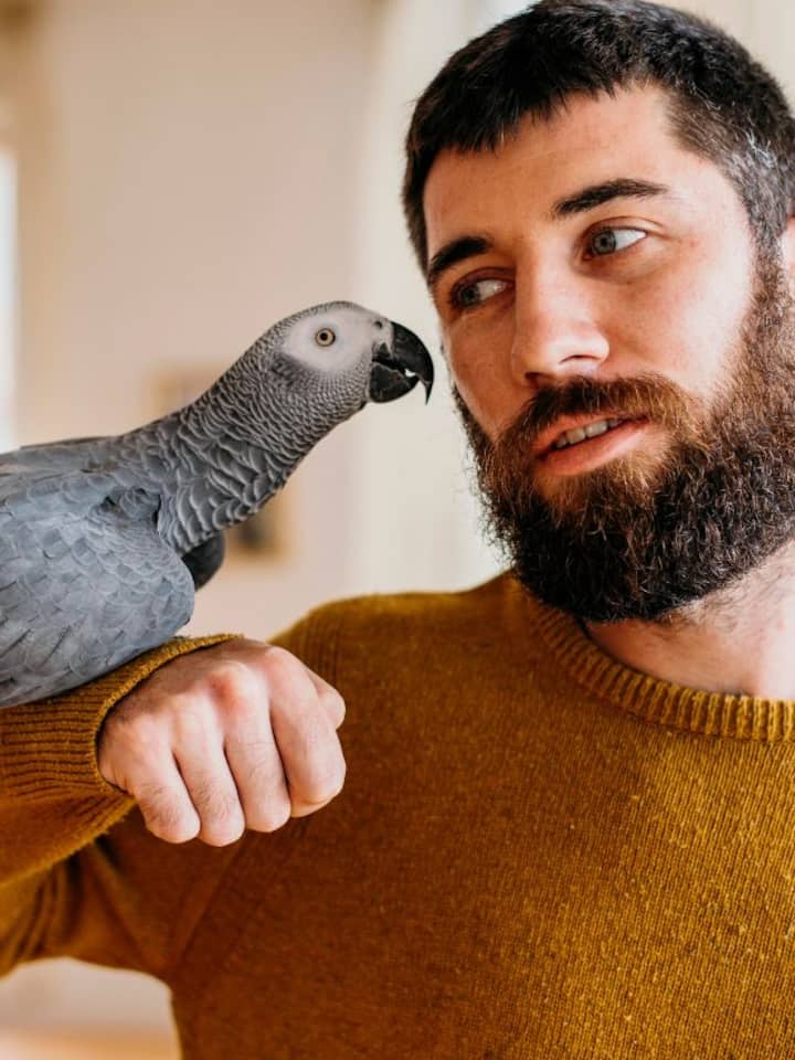 Smartest birds in the animal kingdom Smartest birds in the animal kingdom