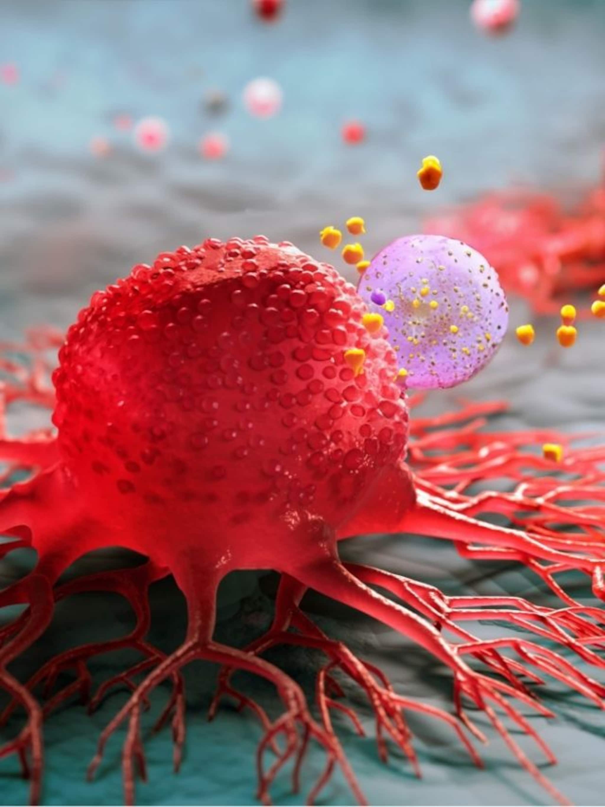 ফুসফুসের ক্যানসারের যে ১০ উপসর্গ আমরা এড়িয়ে যাই