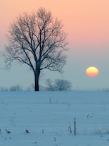 9 Cosy Winter Escapes in India Perfect for a January Getaway