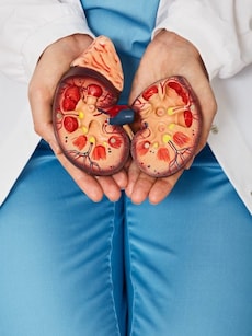 31 best foods in daily diet that keep your kidney healthy