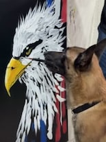 Meet ‘Monkey the Dog’: An Animal That Paints Like a Human