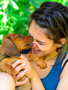 Dog lick sepsis: Early symptoms of this dangerous infection