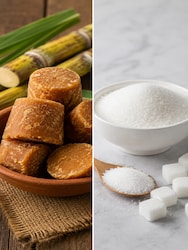 Jaggery vs sugar: Which is a better choice? Know the benefits