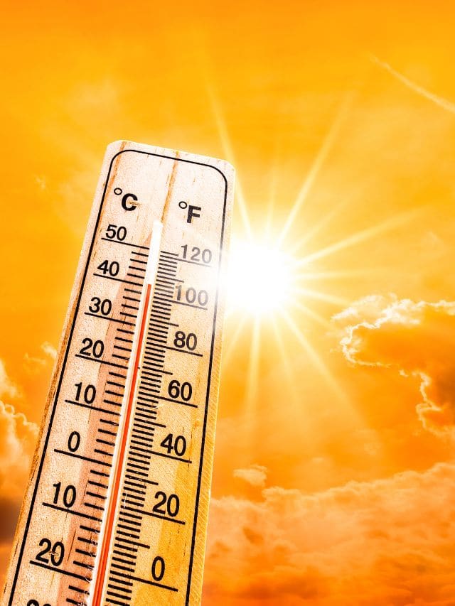 Electricity bills to travel: How extreme heat is affecting Americans