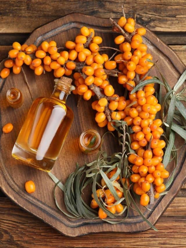 8 Health Benefits Of Sea Buckthorn