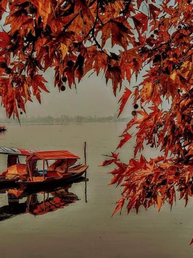 8 Indian Destinations To Visit During Autumn