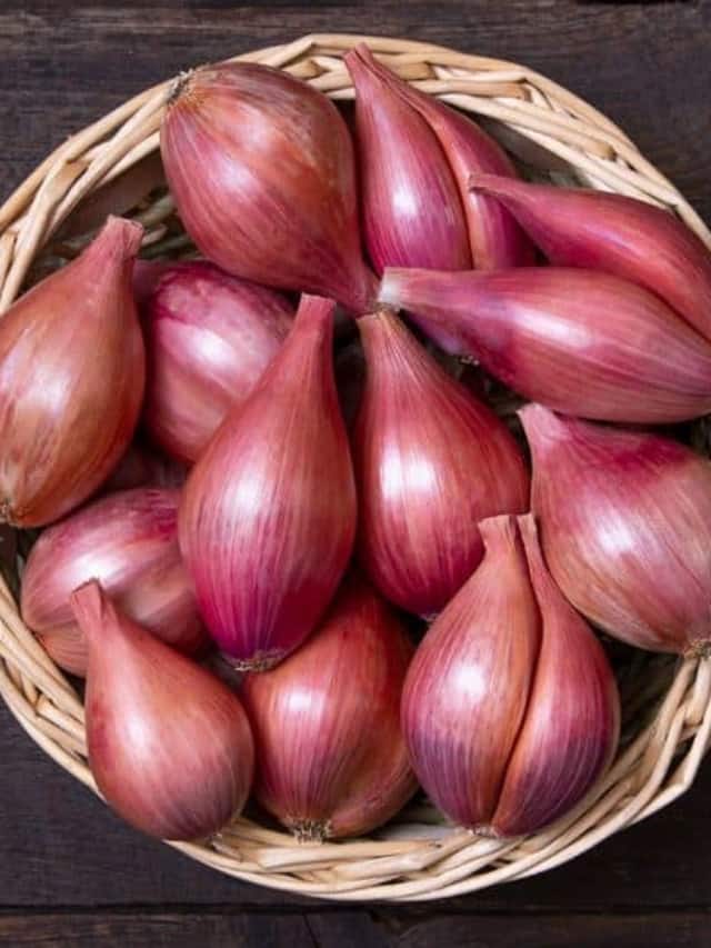 10 Alternatives Of Onion